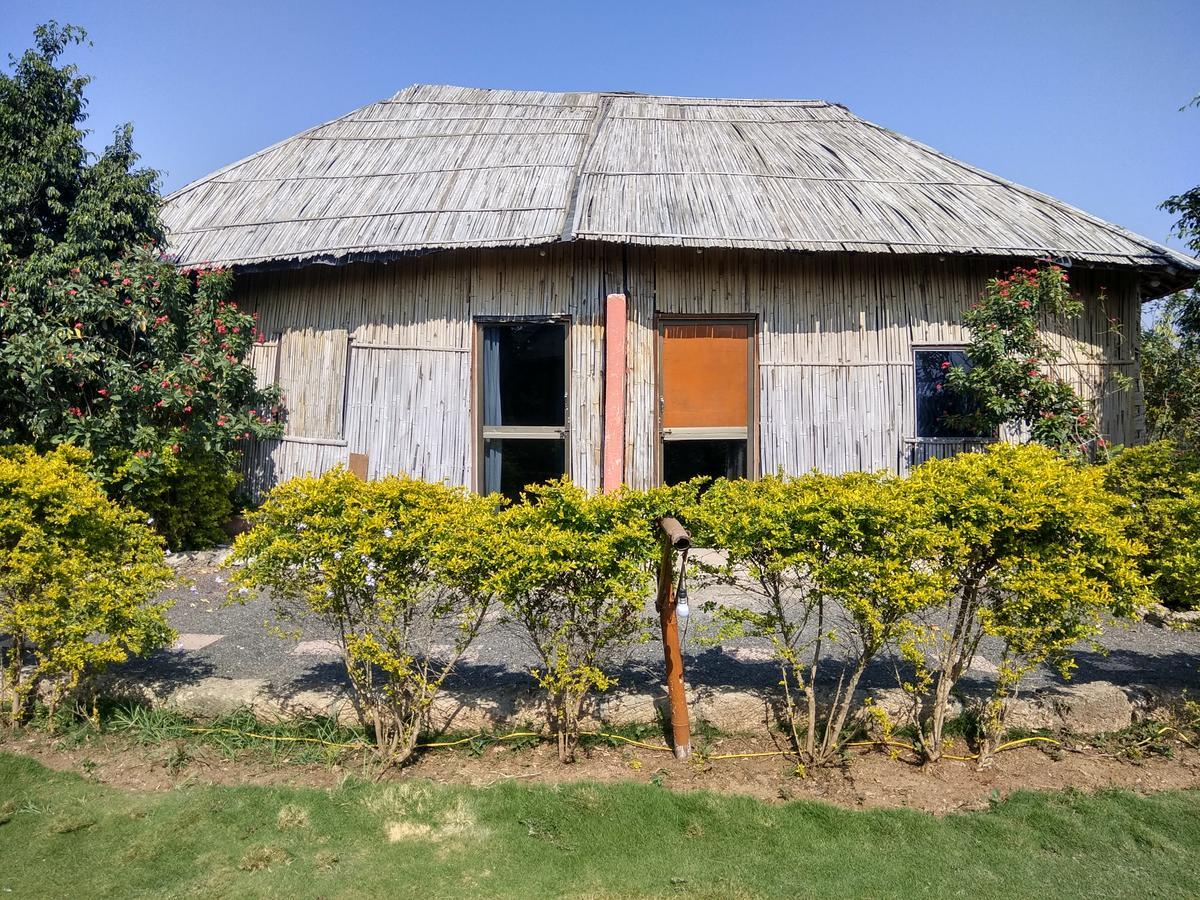 The Hillview Camp Resort Sasan Gir Luaran gambar